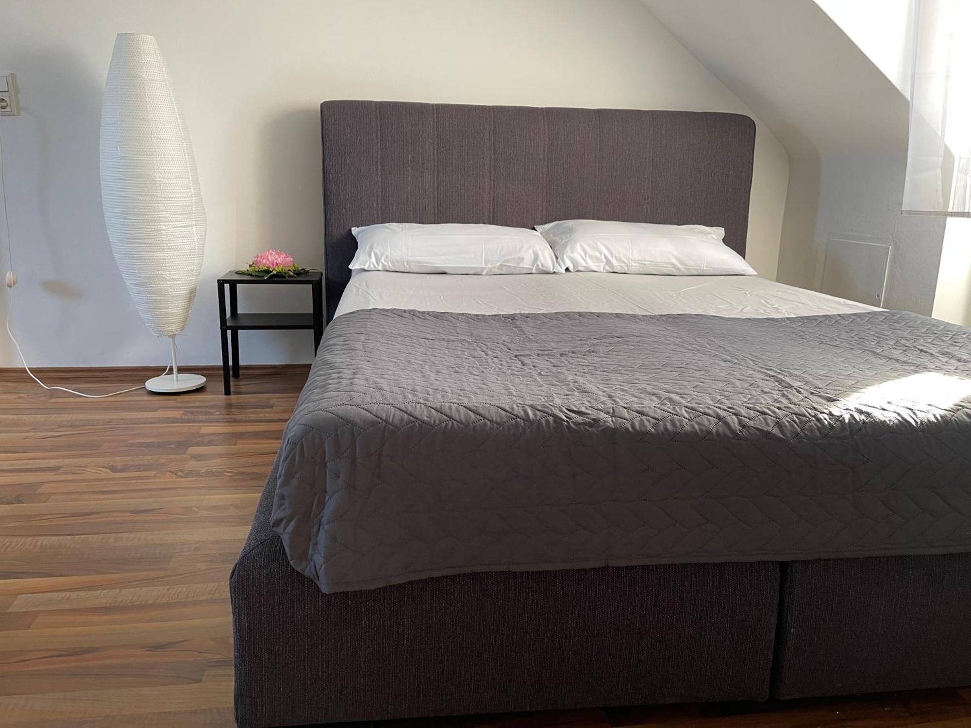 Appartement Geraeumige 3-zimmer-ferienwohnung Im Herzen Von Kassel