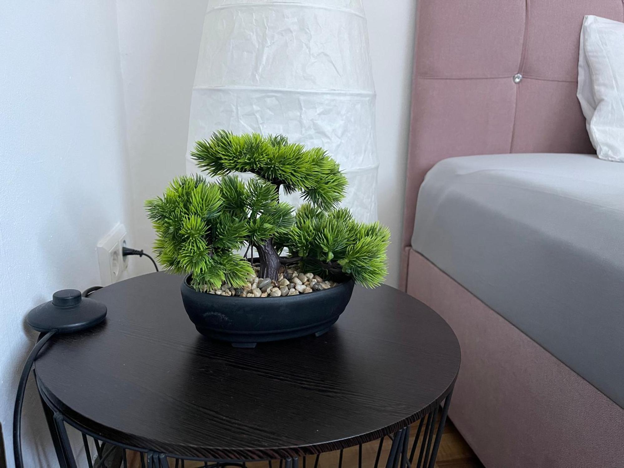 Geraeumige 3-zimmer-ferienwohnung Im Herzen Von Appartement